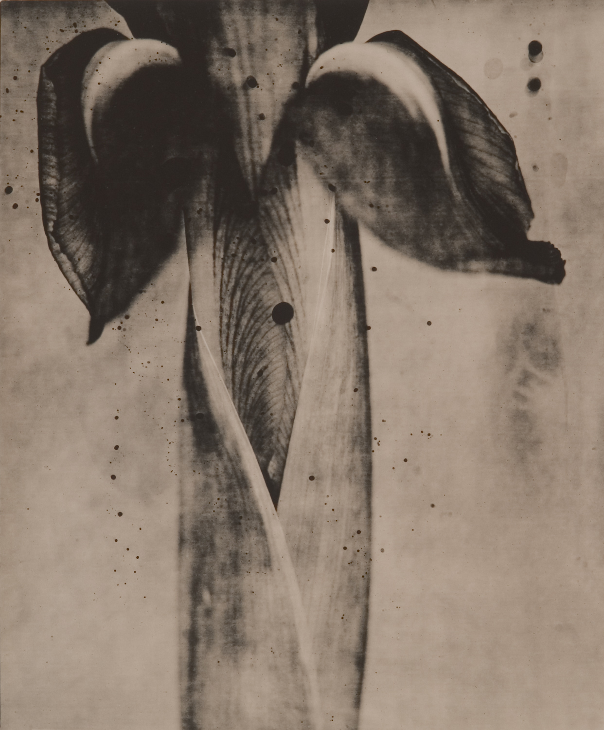 z cyklu bez tytułu, nr neg. 686/4